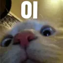 Stika