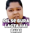 ਸਟਿਕਰ