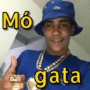 Samolepka