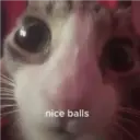 מדבקה
