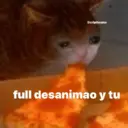 Nhãn dán