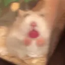 ステッカー