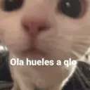 ملصق