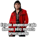 Nhãn dán