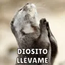 Стикер