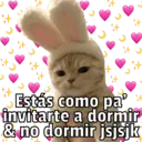 스티커