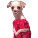 Adhesiu