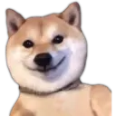 Adhesiu