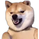 Adhesiu