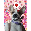 Figurinha
