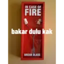 Pelekat