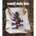Pelekat