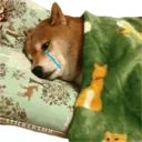 Samolepka