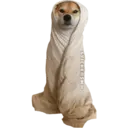 Samolepka