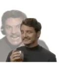 贴纸