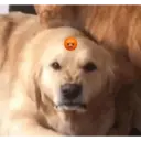 ਸਟਿਕਰ