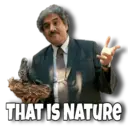 స్టికర్