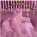 Samolepka