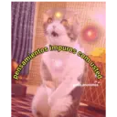 Samolepka