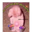 Samolepka