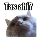 Nhãn dán