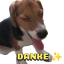 Стикер