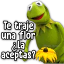 Figurinha