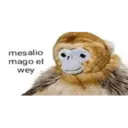 ਸਟਿਕਰ