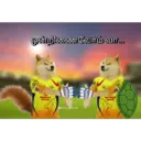 ස්ටිකර්