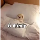 贴纸