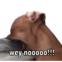 ਸਟਿਕਰ