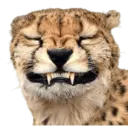 ਸਟਿਕਰ