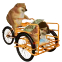 Samolepka