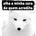 Stika