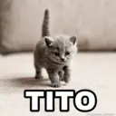 Nhãn dán