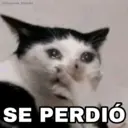 Nhãn dán
