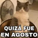 Nhãn dán