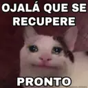 Nhãn dán