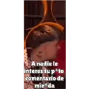 Nhãn dán