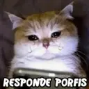Stika