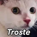 스티커