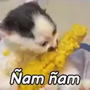 스티커