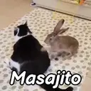 스티커