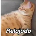 스티커