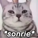 스티커