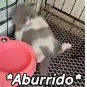 스티커