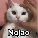 Límmiði