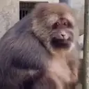 Çıkartma