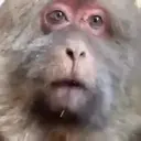 Çıkartma