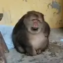 Çıkartma